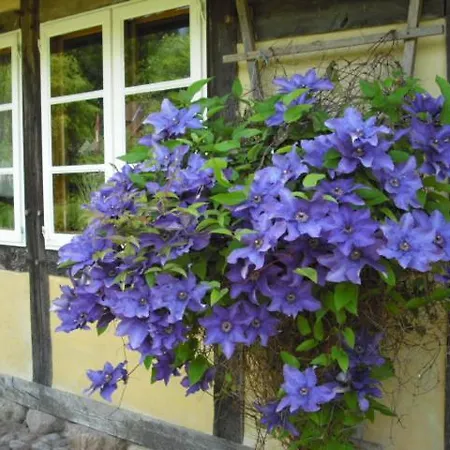 Kiesow * Suderburg