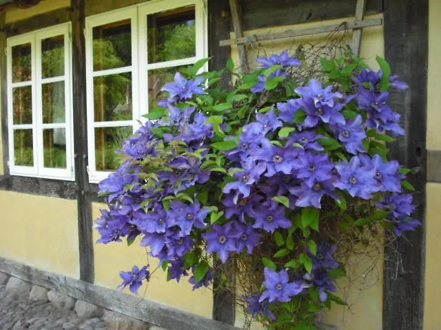 Kiesow * Suderburg